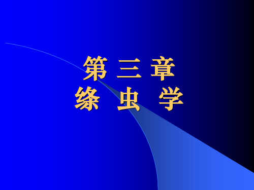 06绦  虫  学