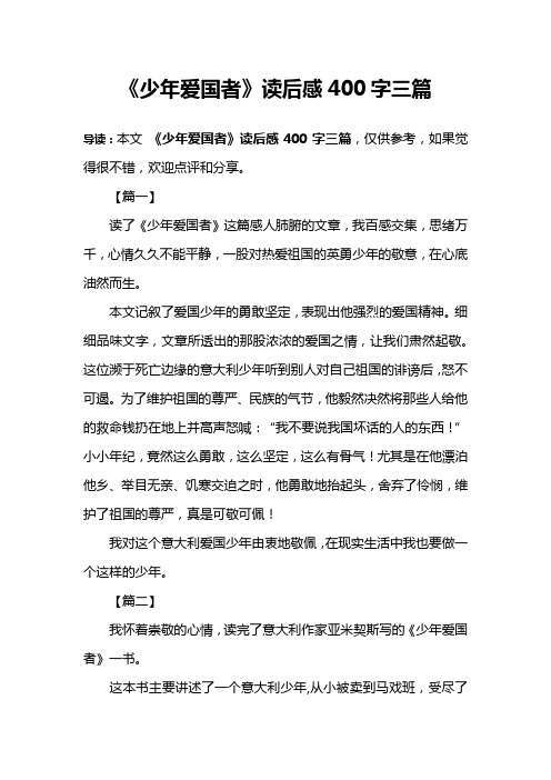 《少年爱国者》读后感400字三篇