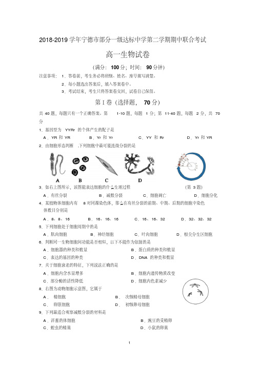 福建省宁德市部分一级达标中学2018-2019学年高一下学期期中考试生物Word版含答案