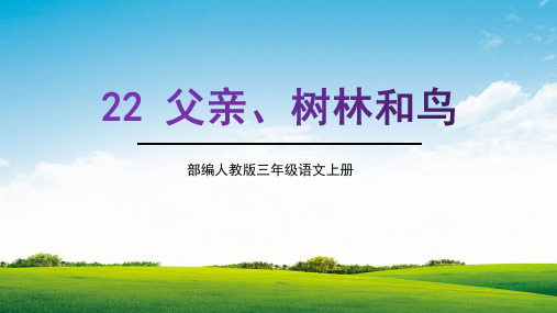 部编人教版三年级语文上册《父亲、树林和鸟》教学课件精品课件PPT小学优质完整课件