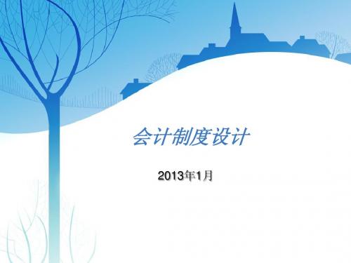 会计制度设计 第二章课件