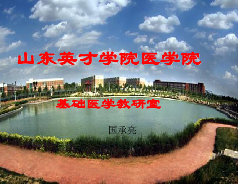关节学