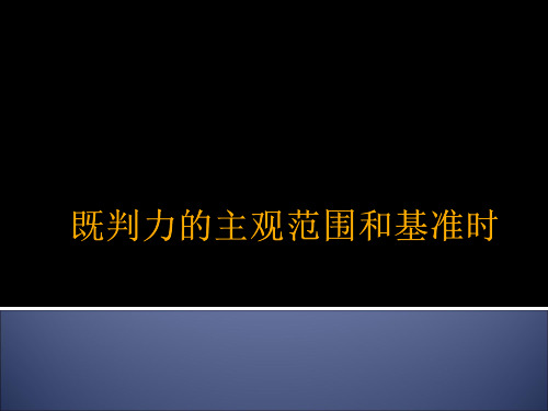 既判力的主观范围和基准时