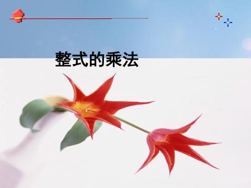 八年级数学上册 12.2 整式的乘法教学课件 (新版)华东师大版