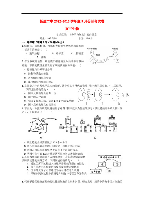 江西省南昌市新建二中高三生物9月月考试题新人教版【会员独享】