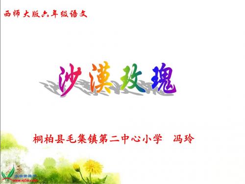 沙漠玫瑰_课件