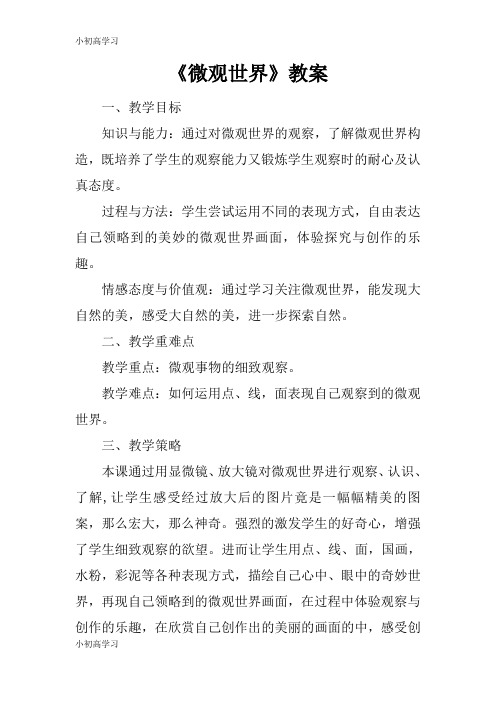 【K12学习】《微观世界》教案