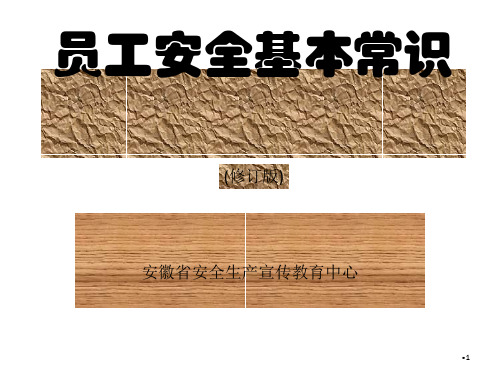员工安全基本常识概述(PPT 45页)