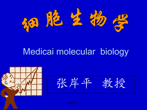 细胞生物学--细胞通信  ppt课件