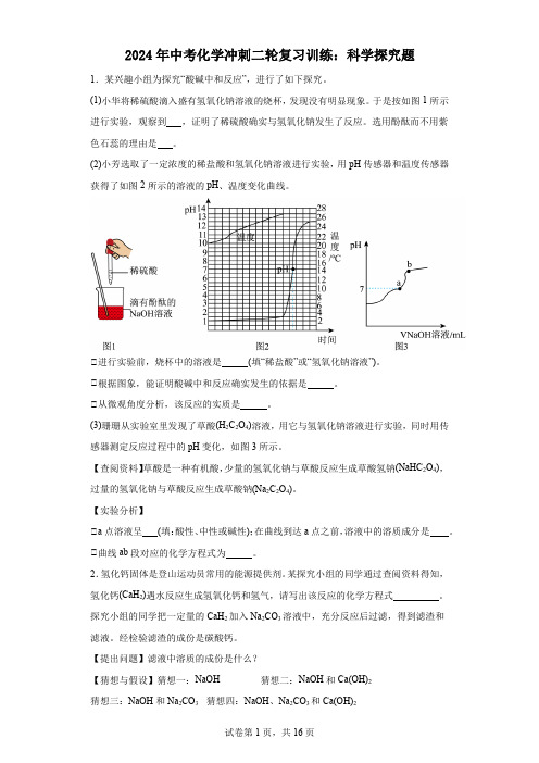 2024年中考化学冲刺二轮复习训练：科学探究题