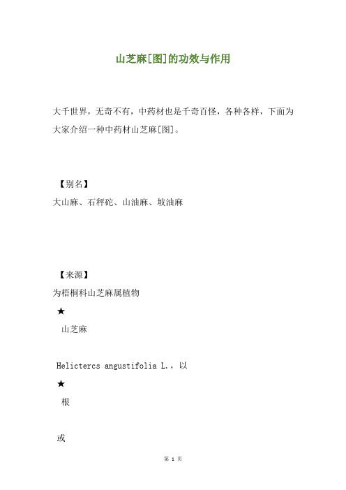 山芝麻[图]的功效与作用