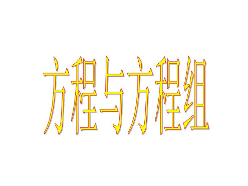 中考数学复习方程与方程组[人教版]