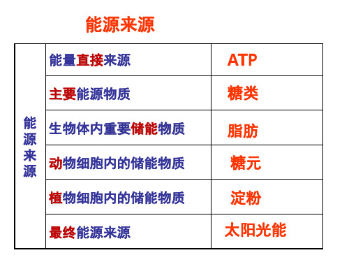 高一生物必修一细胞呼吸(课堂PPT)