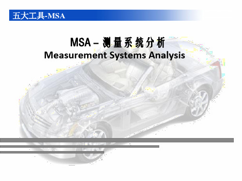 五大工具-MSA