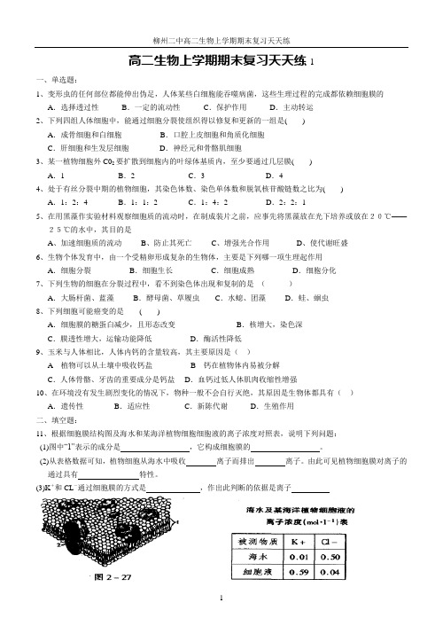 2010高二期末复习天天练