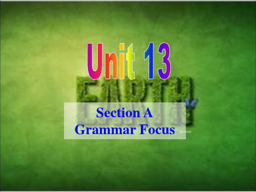 人教版新目标 九年级 Unit 13  Grammar Focus-1(共64张PPT)