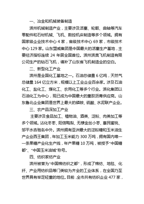 滨州市支柱产业