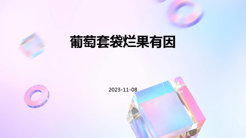 葡萄套袋烂果有因