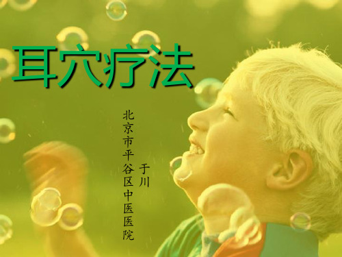 2013.10护理部培训——耳穴疗法