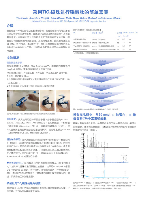 采用TiO2磁珠进行磷酸肽的简单富集