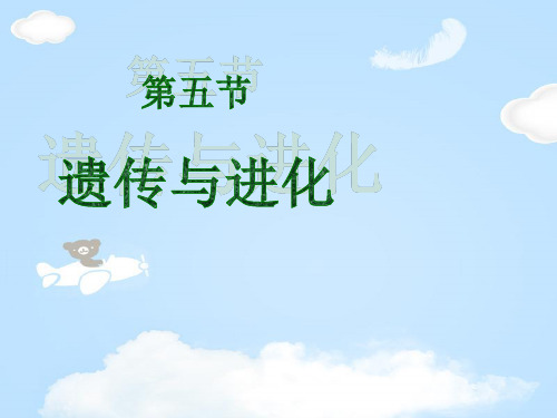 《遗传与进化》PPT课件【优质课件】