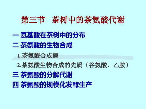茶树中的茶氨酸代谢