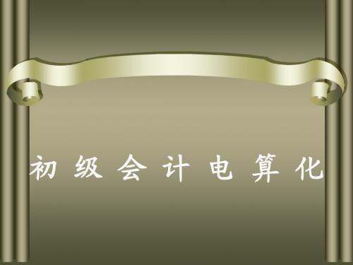 初级会计电算化第四章1-2节