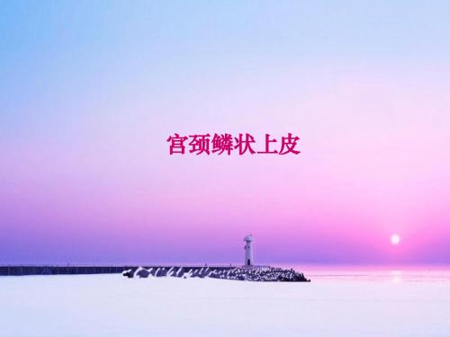 宫颈鳞状上皮 PPT课件