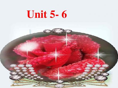 高三英语课件：高三英语上学期unit 5-6 第一轮复习