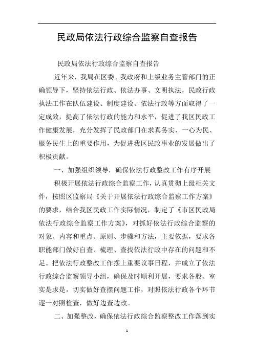 民政局依法行政综合监察自查报告