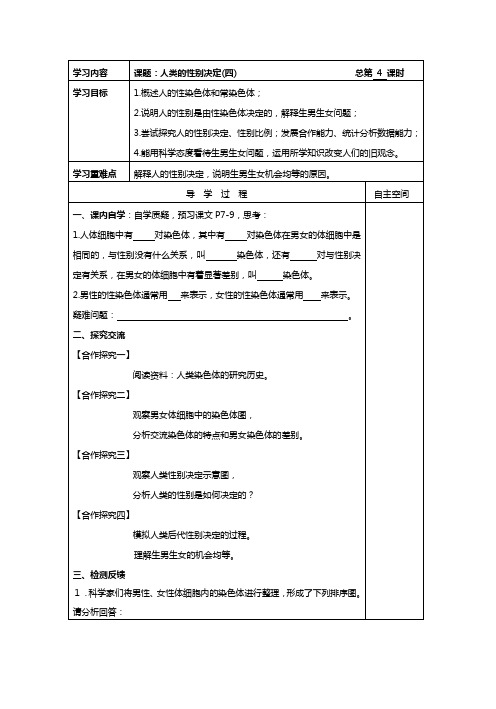 04人类的性别决定