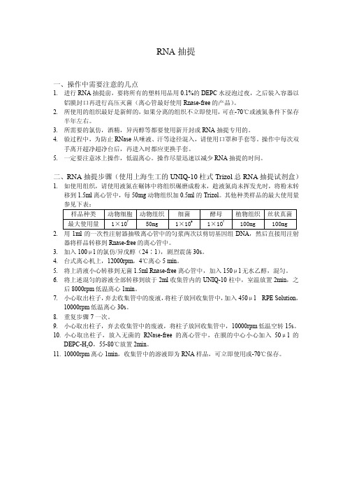 RNA抽提