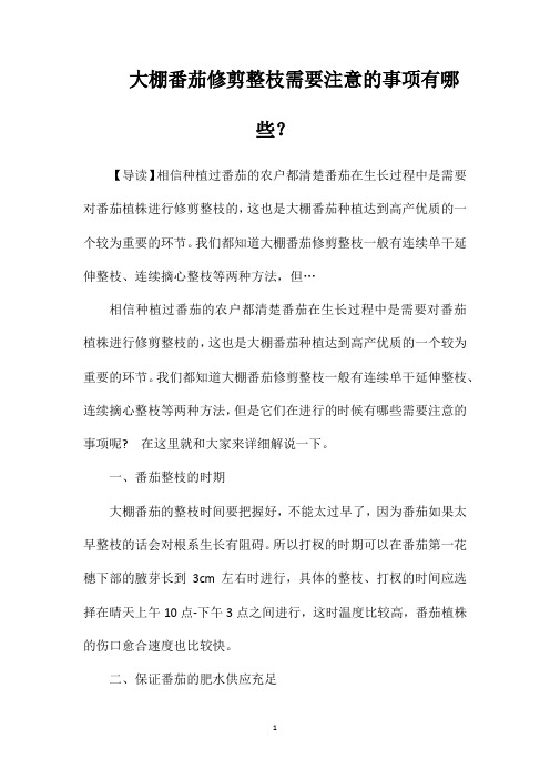 大棚番茄修剪整枝需要注意的事项有哪些？
