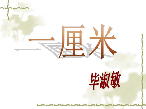 语文版九年级上册第六课语文《一厘米》