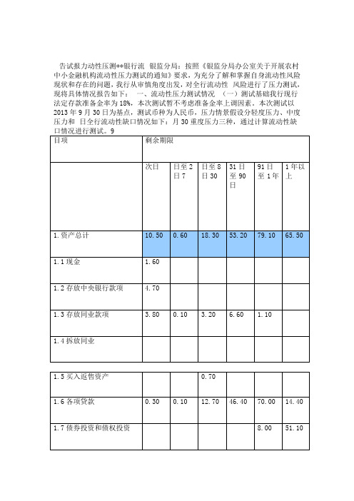 流动性压力测试报告