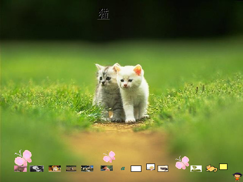 人教版四年级上册语文15《猫》1ppt课件