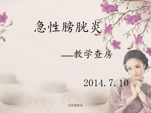 急性膀胱炎 ppt课件