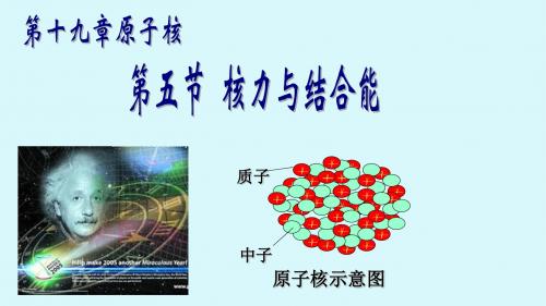 19.5 核力与结合能