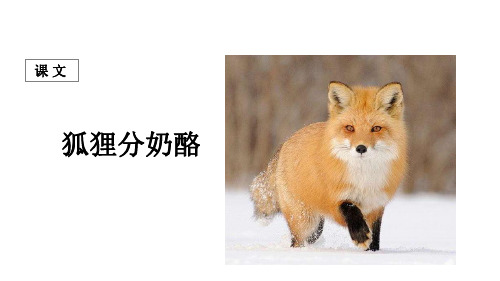 最新人教部编版二年级语文上册《狐狸分奶酪》精品课件ppt
