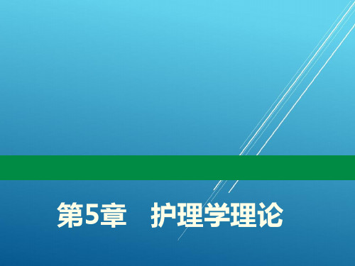 护理学导论第5章   护理学理论