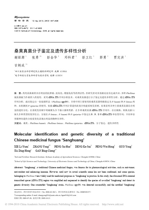 桑黄真菌分子鉴定及遗传多样性分析