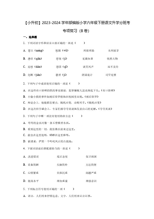 【小升初】2023-2024学年部编版小学六年级下册语文升学分班考专项复习(B卷)含解析