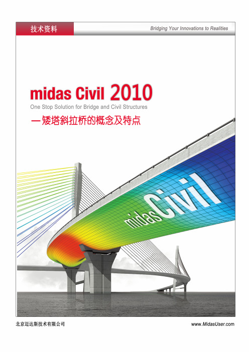 07_矮塔斜拉桥的概念及特点