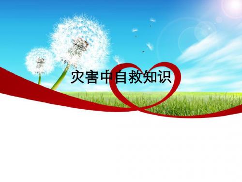 灾害中自救知识ppt课件