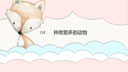 三年级下第四课 种类繁多的动物 冀教版(共20张PPT)