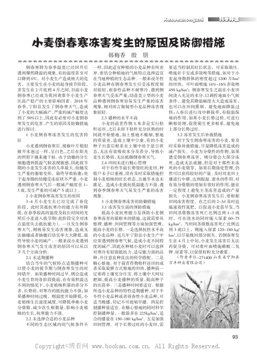 小麦倒春寒冻害发生的原因及防御措施