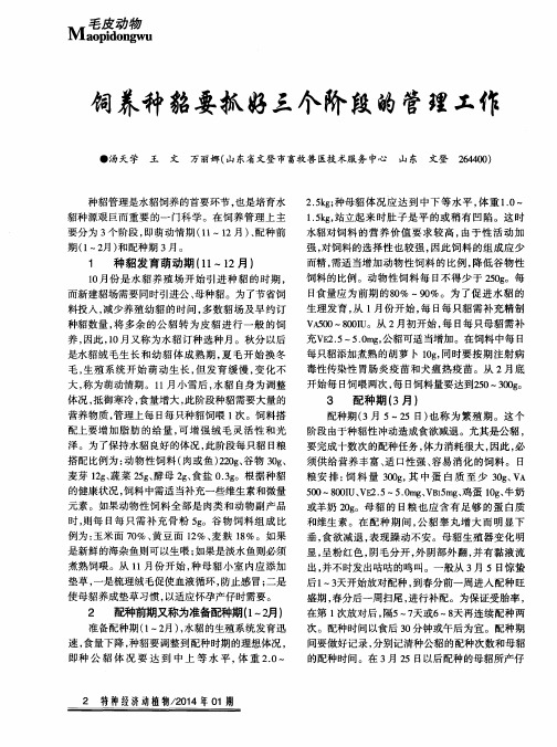 饲养种貂要抓好三个阶段的管理工作