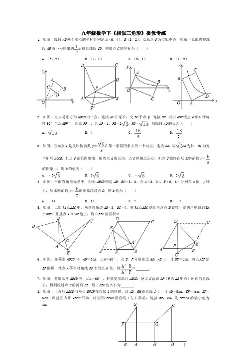 相似三角形必考题考前专训