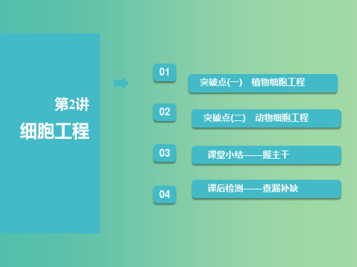 (全国通用版)2019版高考生物一轮复习 选考部分 现代生物科技专题 第2讲 细胞工程课件