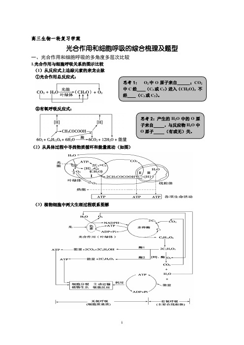 高三生物一轮复习光合作用和细胞呼吸的综合梳理及题型学案